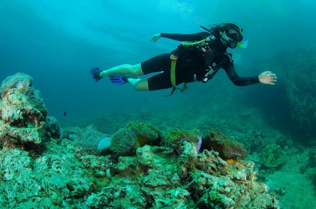  reef expeditions